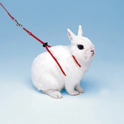 NA Accessoires rongeurs ferplast ny rab laisse haris lapin réglable Clearance