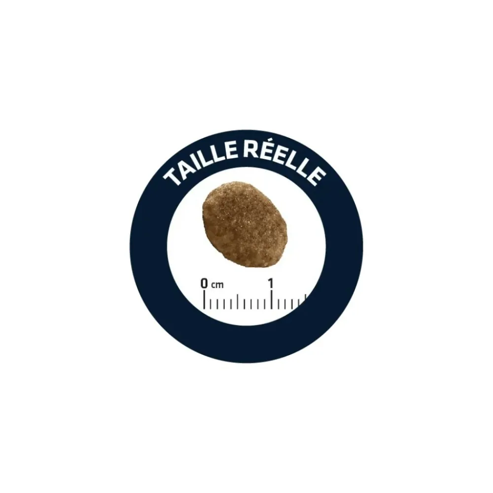 Advance Alimentation Et Friandises | - diet croquettes chat urinary low calories 2,5 kg
