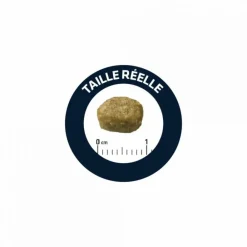 Advance Alimentation Et Friandises | - Croquettes chat adult sterilized hairball - 1,5 kg