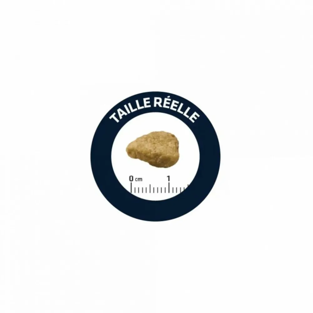 Advance Alimentation Et Friandises | - Croquettes chat adulte sensitive sterilized saumon - 10 kg