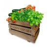 Agreen - Boîte de verger vintage eco
