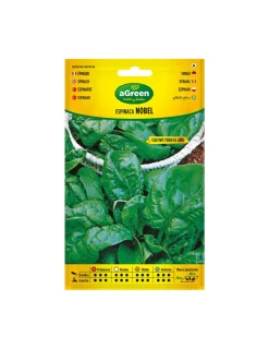 Agreen - À propos des graines dépinards nobel 000383bolsh - Best