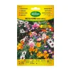 Agreen Graines De Légumes Et Aromatiques | - À propos des graines mixtes fleurs annuelles naines 300593bolsh daccord -
