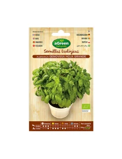 Agreen - Sachet de graines eco basilic genovesa Best