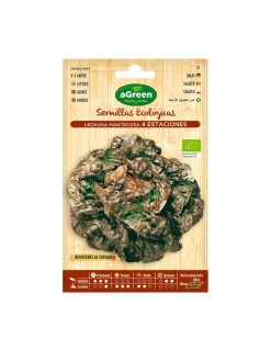 Agreen - 10 sachet de laitue eco seeds four seasons New