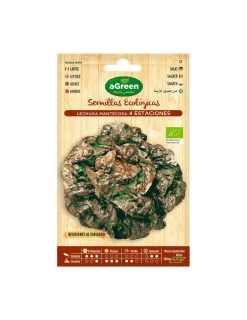 Agreen - 10 sachet de laitue eco seeds four seasons New