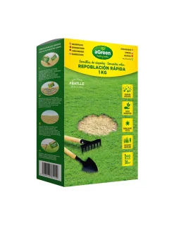 Agreen - Semence de gazon à pousse rapide 1kg - Online