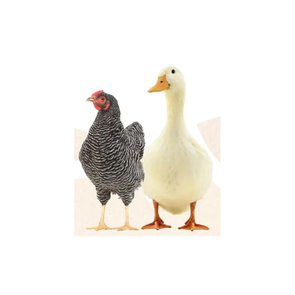 Animallparadise Alimentation | - Natur' vers, contre les vers pour poules et canards 250 ml