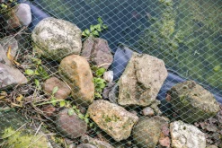 Aquagart Bassins Et Fontaines | - Filet de bassin 22 m x 8 m filet à feuilles, filet, filet de protection contre les oiseaux, robuste