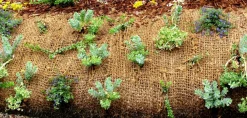 Aquagart Bassins Et Fontaines | - 140 m filet anti-érosion en fibre de coco 1 m de large, film pour bassin de jardin, toile en fibre de noix de coco 750 g
