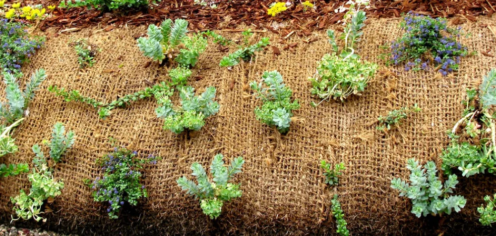 Aquagart Bassins Et Fontaines | - 110 m filet anti-érosion en fibre de coco 1 m de large, film pour bassin de jardin, toile en fibre de noix de coco 750 g