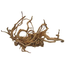 Aquavie Plantes Et Décoration | - Décor aquarium/terrarium: Racine araignée 40-50 cm