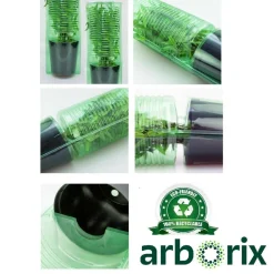 Arborix Bambous | - Bambou géant - phyllostachys bissetii - 60- 80 cm pot