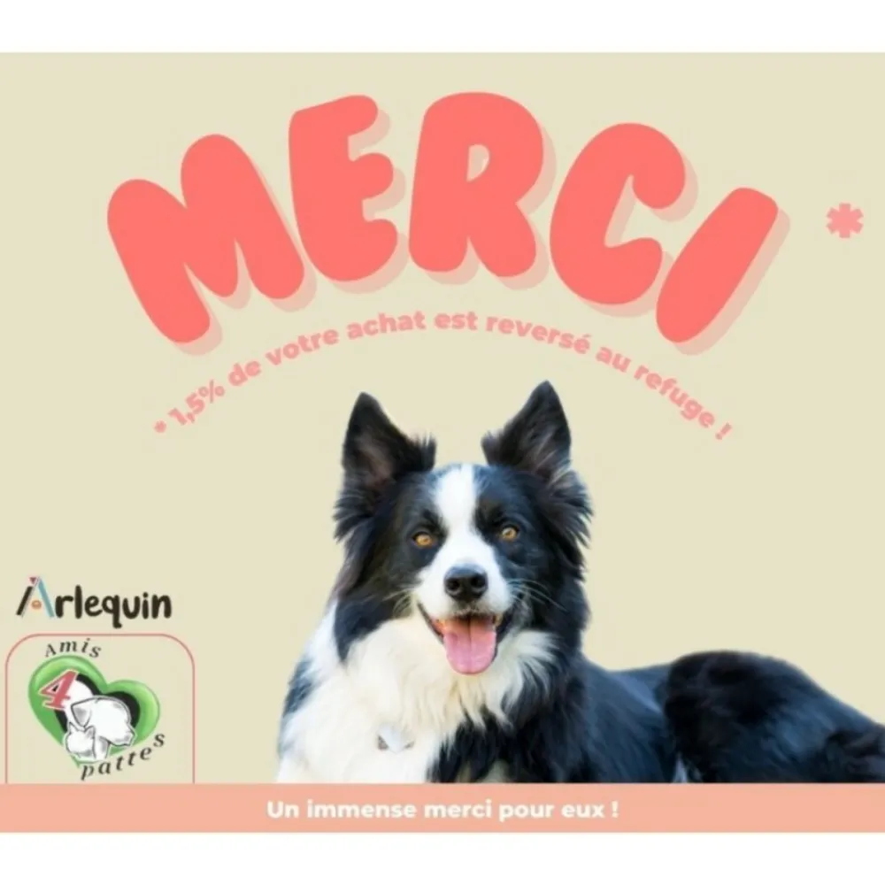 Arlequin Irresistible Alimentation Et Friandises | - Croquette chien petite race superfood sans céréales arlequin irrésistible dinde élevée en plein air 6 kg