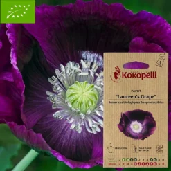 Association Kokopelli Graines De Fleurs | - Graines bio à semer - pavot laureen's grape