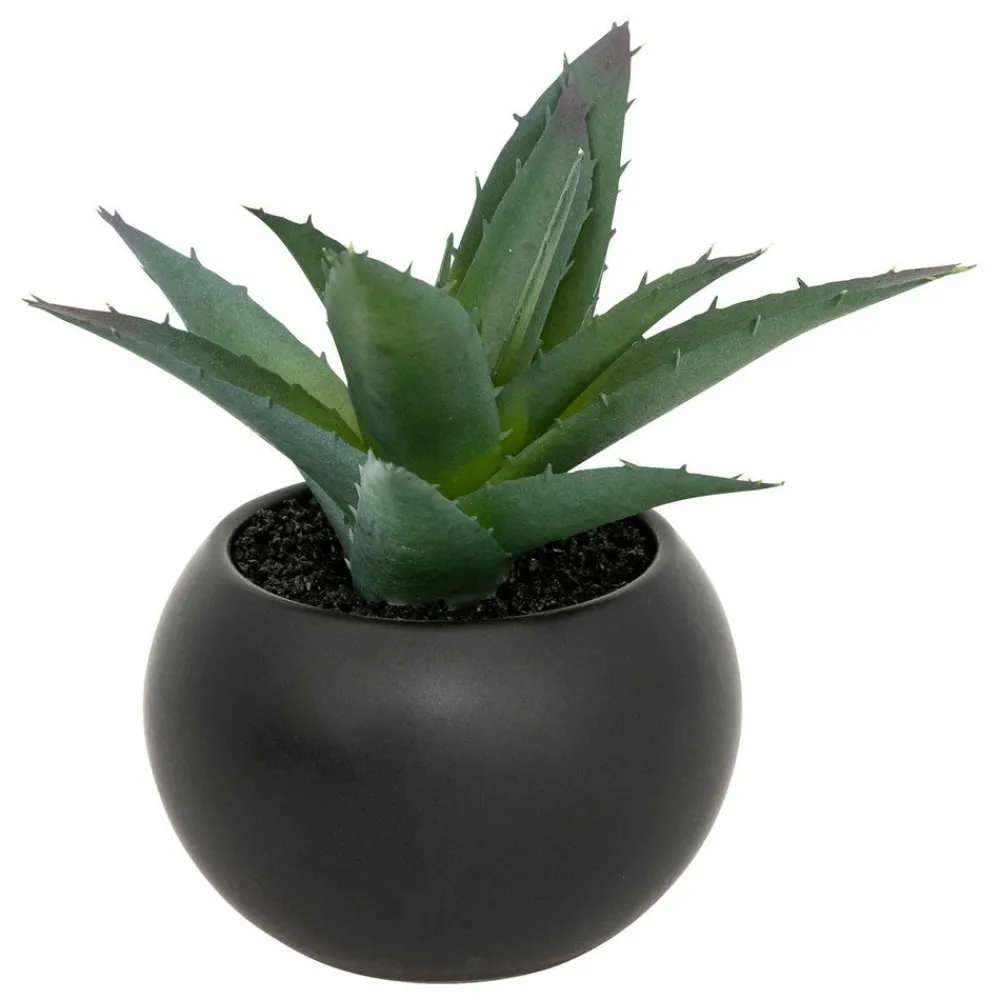 Atmosphera Createur D'interieur - Plante grasse en pot h13 Sale