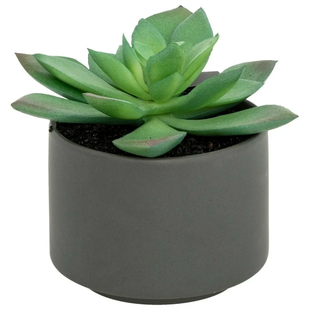 Atmosphera Createur D'interieur - Plante grasse en pot h13 Sale