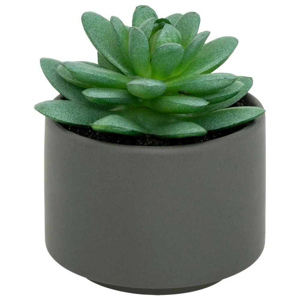 Atmosphera Createur D'interieur - Plante grasse en pot h13 Sale