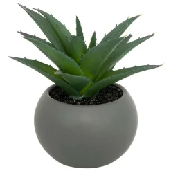 Atmosphera Createur D'interieur - Plante grasse en pot h13 Sale