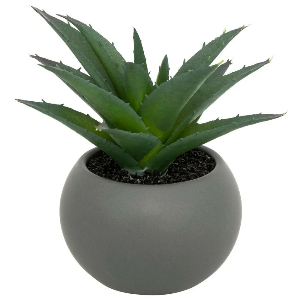 Atmosphera Createur D'interieur - Plante grasse en pot h13 Sale