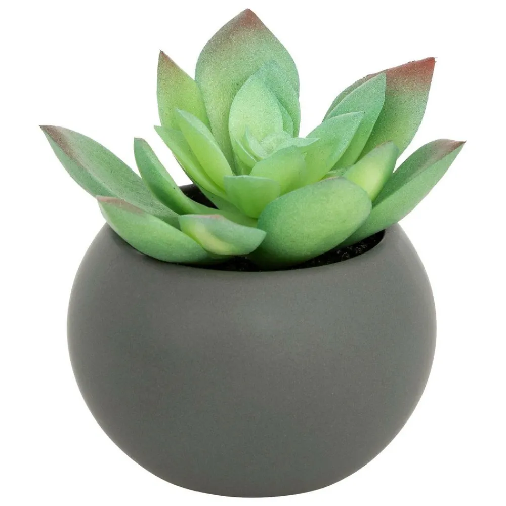 Atmosphera Createur D'interieur - Plante grasse en pot h13 Sale