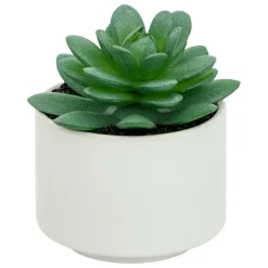 Atmosphera Createur D'interieur - Plante grasse en pot h13 Best