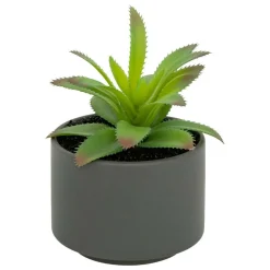 Atmosphera Createur D'interieur Fleurs Et Plantes Artificielles | - Plante grasse en pot h13