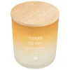 Atmosphera Createur D'interieur - Bougie parfumée "terre de feu" bouquet de lila 255g New