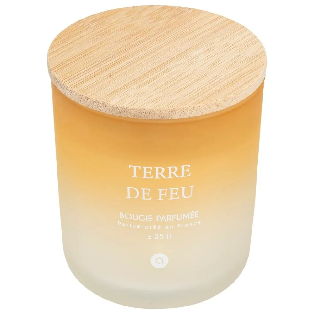 Atmosphera Createur D'interieur - Bougie parfumée "terre de feu" bouquet de lila 255g New