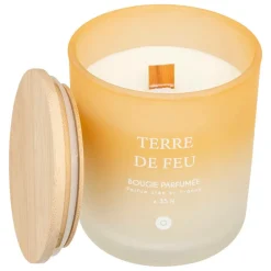 Atmosphera Createur D'interieur - Bougie parfumée "terre de feu" bouquet de lila 255g New