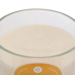 Atmosphera Createur D'interieur - Bougie parfumée " floa" vanille 610g Online