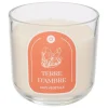 Atmosphera Createur D'interieur Bougies, Senteurs Et Bien-Être | - Bougie parfumée " floa" ambre 610g