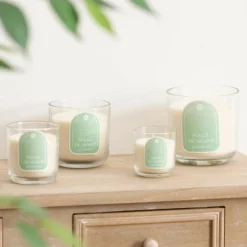 Atmosphera Createur D'interieur Bougies, Senteurs Et Bien-Être | - Bougie parfumée 