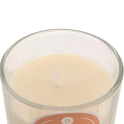 Atmosphera Createur D'interieur Bougies, Senteurs Et Bien-Être | - Bougie parfumée " floa" pêche 210g