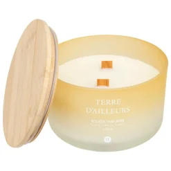 Atmosphera Createur D'interieur - Bougie parfumée "terre d ailleurs" pétales de musc 420g Discount