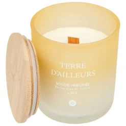Atmosphera Createur D'interieur - Bougie parfumée "terre d ailleurs" pétales de musc 255g