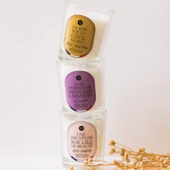 Atmosphera Createur D'interieur - Bougie parfumée nibi bois et cachemire 180g Discount