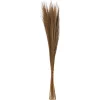 Atmosphera Createur D'interieur Bouquets De Fleurs | - Fagot de blé james beige h35cm