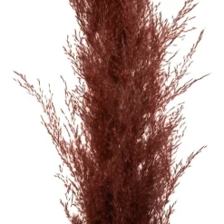 Atmosphera Createur D'interieur Bouquets De Fleurs | - Set de 3 fleurs séchées