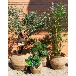 Aubry Gaspard - Maxi cache-pots en jonc Hot