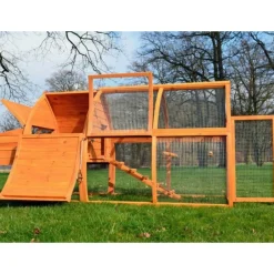 Bb Loisir - Poulailler en bois pour jardin 2/5 poules 172x76x102 cm-modele 126 grande poule Sale