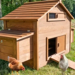 Bb Loisir - Poulailler en bois pour jardin extérieure cage canard équipé 2 nichoirs 185 x 84 x 112 cm modèle 154 ferme de terrain Best
