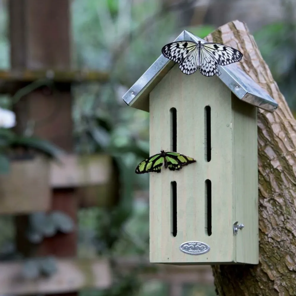 Best For Birds - Abri pour papillons Best