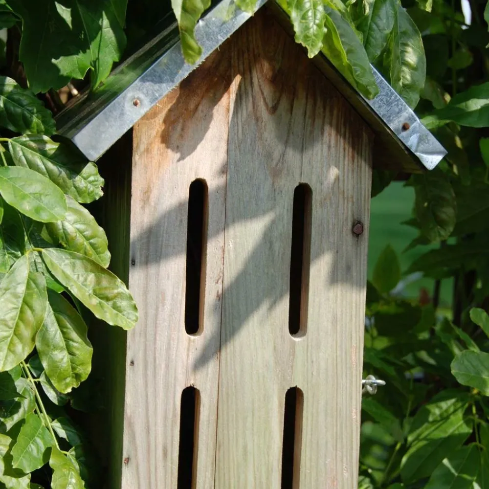 Best For Birds - Abri pour papillons Best
