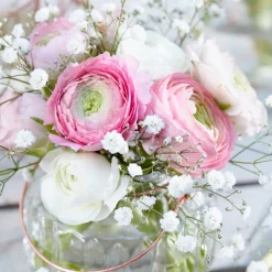 Bloomique - Mélange de 50 - renoncule - renoncule - bouton d'or - mélange de couleurs - pousse jusqu'à 30-40 cm Discount