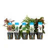 Bloomique Plantes Et Décoration | - Set de 5 - plantes d'aquarium véritables - plantes aquatiques - purifiantes - hauteur 15-20 cm