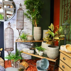Chemin De Campagne Pots Et Jardinières | - Coupe