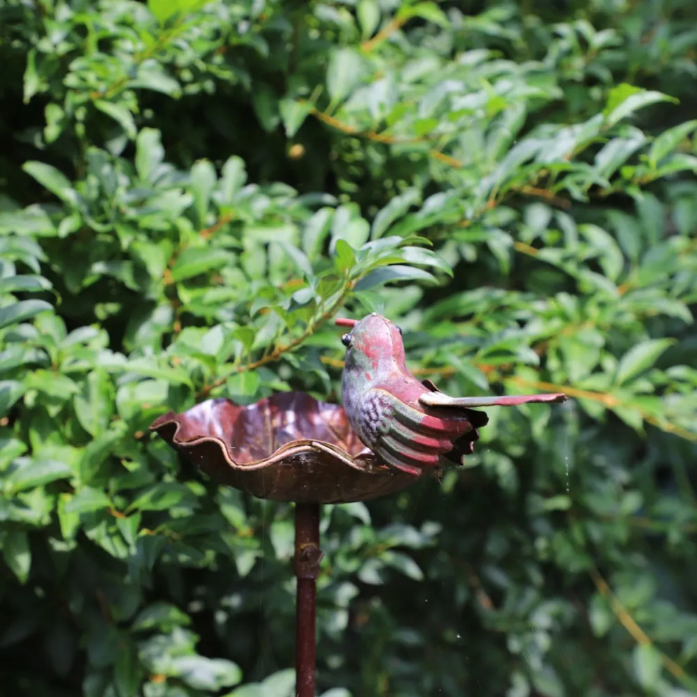 Chemin De Campagne Oiseaux Du Jardin | - Mangeoire à oiseaux pique jardin abreuvoir fer marron 103 cm