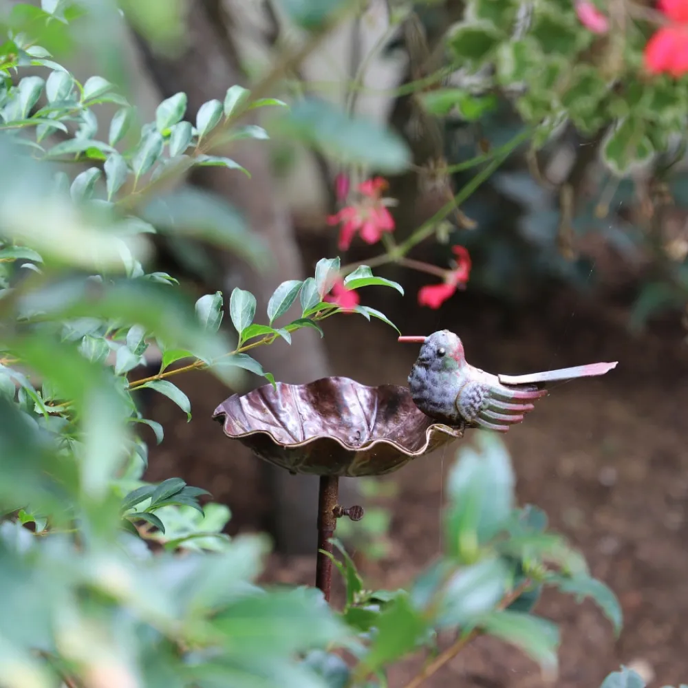 Chemin De Campagne Oiseaux Du Jardin | - Mangeoire à oiseaux pique jardin abreuvoir fer marron 103 cm