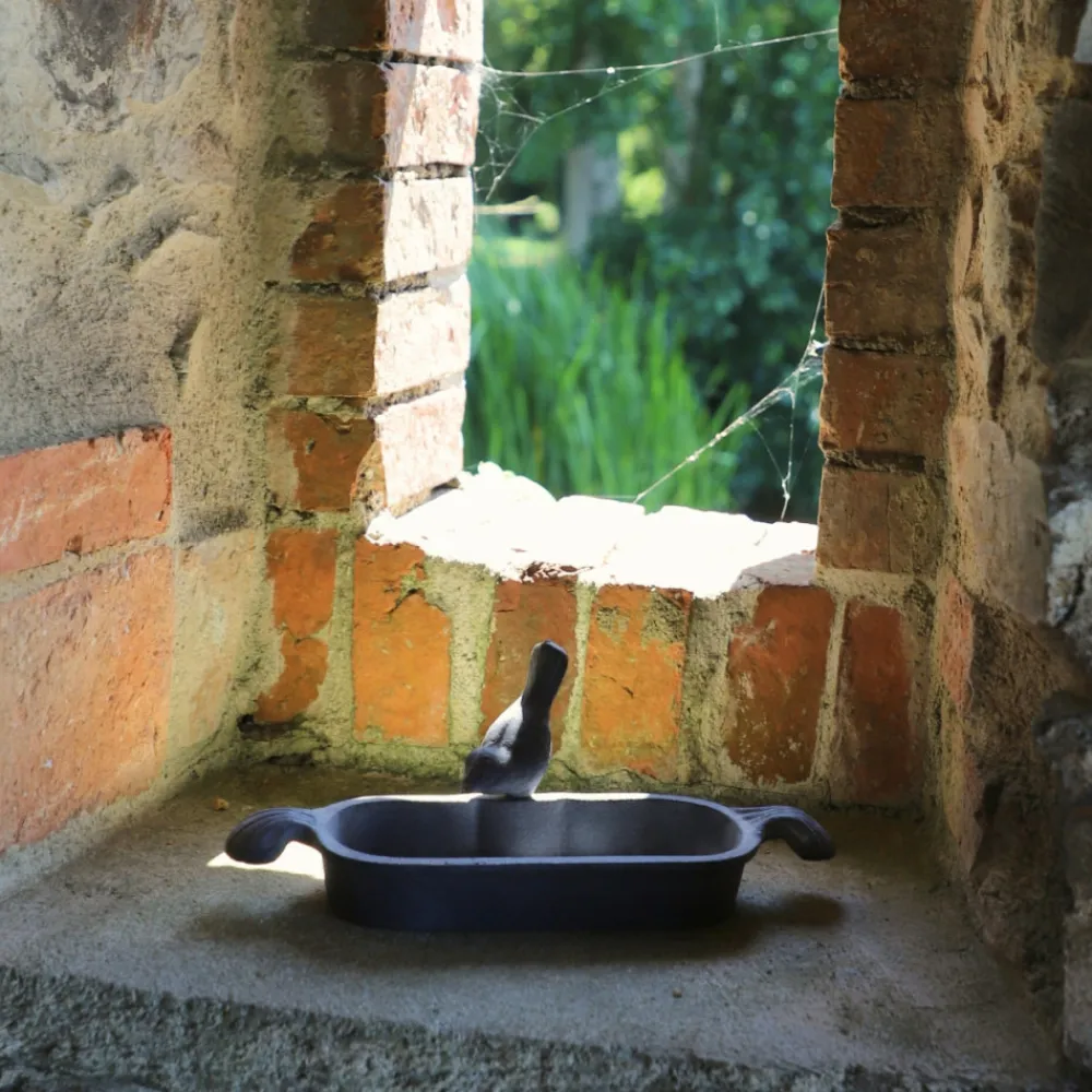 Chemin De Campagne Oiseaux Du Jardin | - Mangeoire à oiseaux abreuvoir jardin fonte grise 26cm